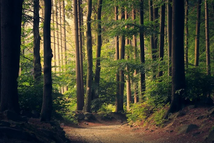 The weekend escape inspiration preview
